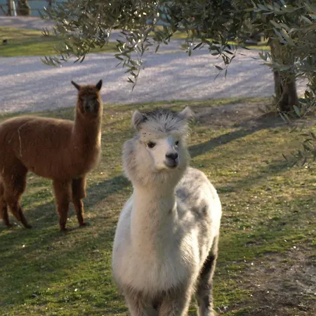 Agriturismo Il Beccafico Mengara