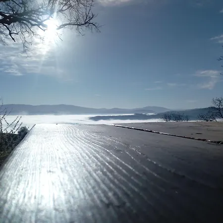 Farm stay Il Beccafico Alpaca *