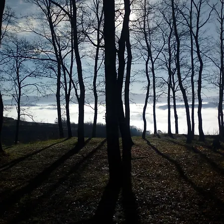 Il Beccafico Alpaca Farm stay Mengara