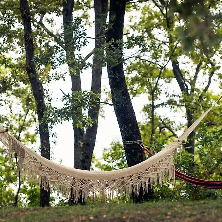 Alloggio per agriturismo Il Beccafico Alpaca *