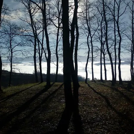 Il Beccafico Alpaca * Mengara