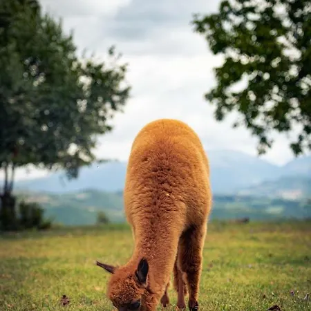 Il Beccafico Alpaca * Mengara