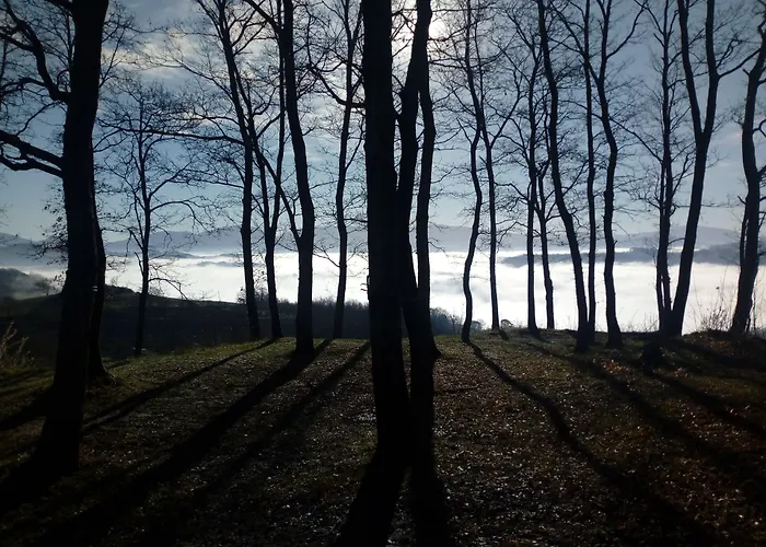 Il Beccafico Alpaca Alojamento de Turismo Rural Mengara